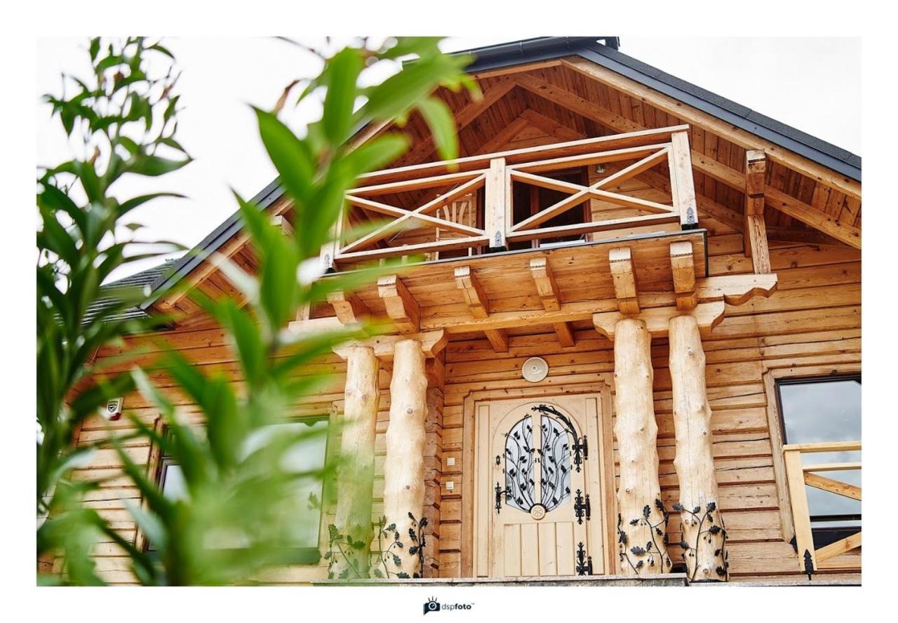 Villa Borysówka Kopanica Exterior foto